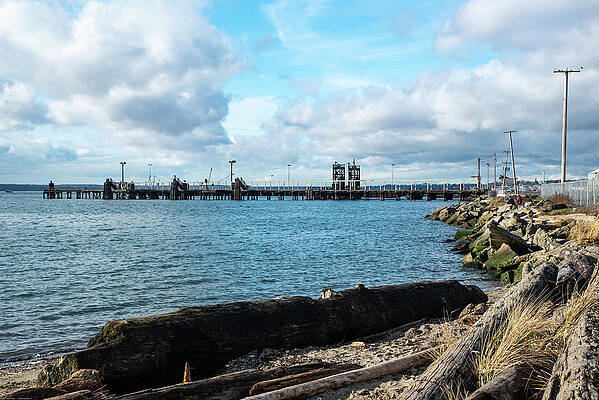Beach Photograph - Driftwood On Cornwall Beach by Tom Cochran