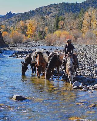 Cowboy Wall Art featuring the photograph Drink Up by Alden White Ballard