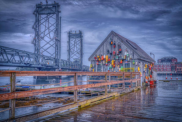 Maine Wall Art featuring the photograph Drizzling On Badgers Island by Penny Polakoff
