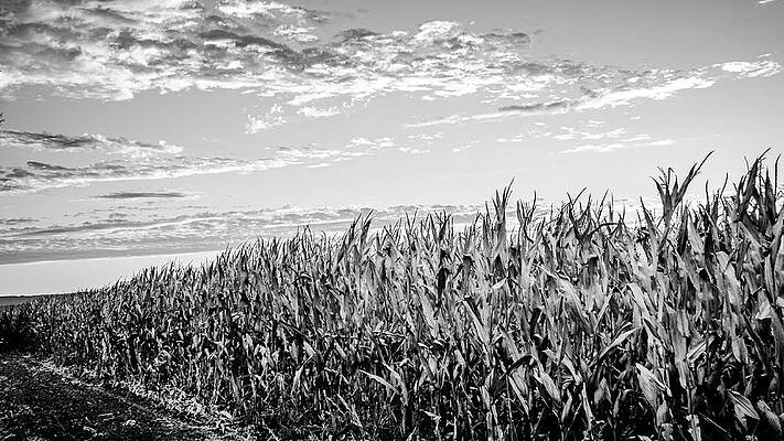 Sky Wall Art for Sale by Mike Fusaro