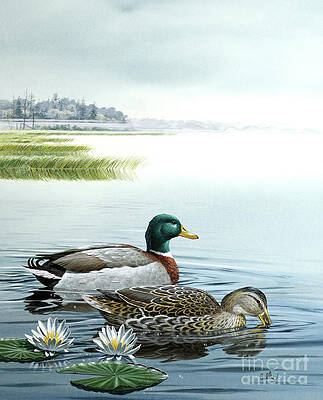 Garden Painting - Ducks Swimming On Pond by Don Balke