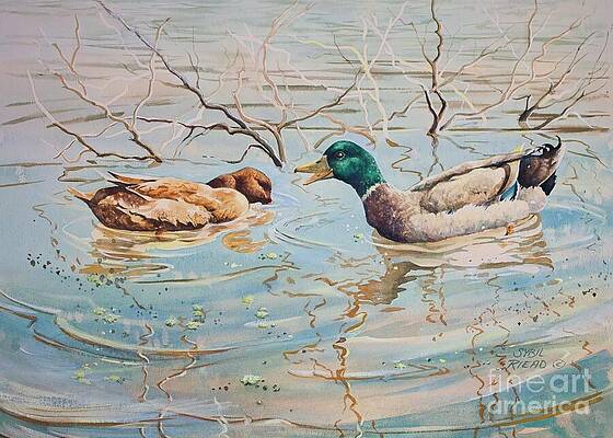 Wall Art featuring the painting Ducks by Sybil Riead