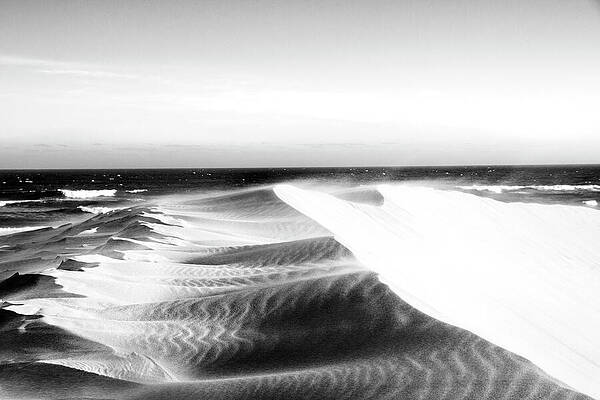 Wall Art featuring the photograph Dune Drift by Mia Badenhorst