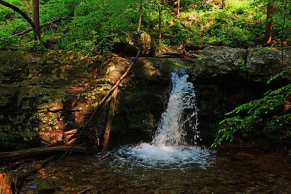 Waterfall Photograph - Dunnfield Creek Waterfall Spring Green by Raymond Salani III