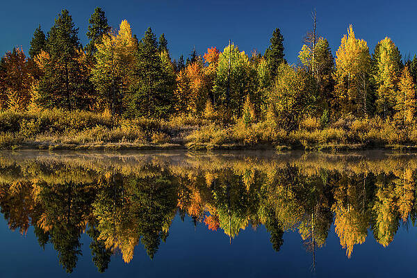 Nature Photograph - Duplicity by Tim Lyden
