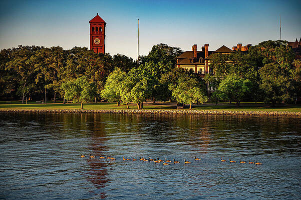 Sunset Photograph - Dusk  And Ducks At Newport News by Bonnie Colgan