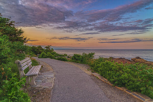Maine Wall Art featuring the photograph Dusk On Marginal Way by Penny Polakoff