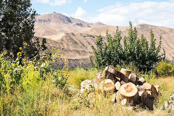 Fall Wall Art featuring the photograph Dusty Hills And Firewood by Tom Cochran