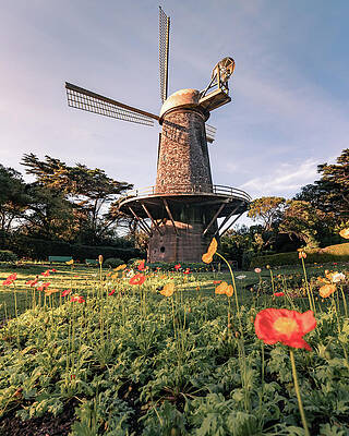 Dutch Windmill, San Francisco, California Print