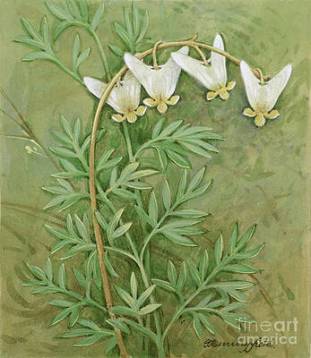 Painting - Dutchman's Breeches by Gordon Beningfield