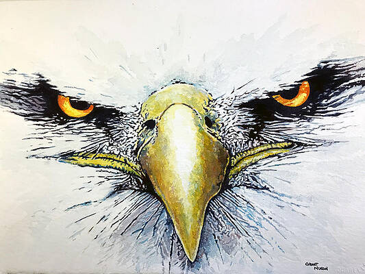 Painting - Eagle by Grant Nixon