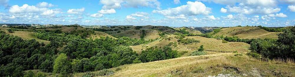 Photograph - Earl's Cooley by Amanda R Wright