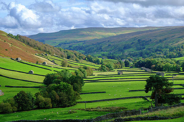 Scenic Photograph - Early Autumn Landscape View Of Swaledale by Seeables Visual Arts