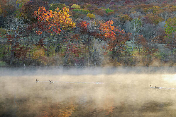 Nature Wall Art featuring the photograph Early Morning Mist On Lake Waramaug by Dave King