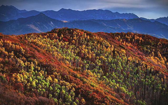 Utah Photograph - East Canyon Autumn Peaks, Utah by Abbie Warnock