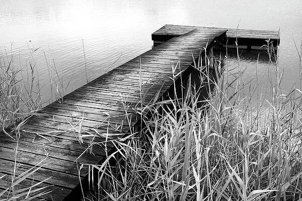 Portland Photograph - East River by Mia Badenhorst