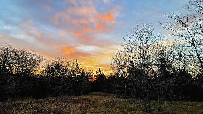 Texas Wall Art featuring the photograph East Texas Sunrise by Ron Long Ltd Photography