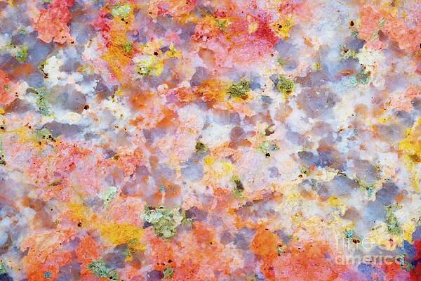 Abstract Photograph - Easter Flowers by Eric Kyle