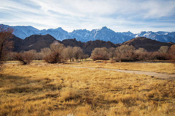 Photograph - Eastern Sierras - Welcome Center by Jonathan Babon
