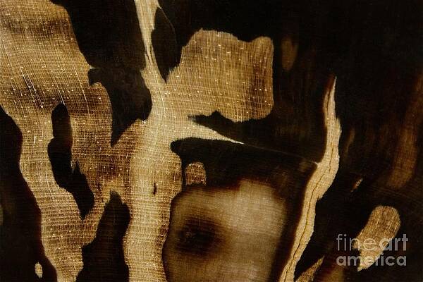 Abstract Photograph - Ebony by Eric Kyle