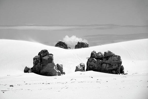 Portland Photograph - Echo by Mia Badenhorst