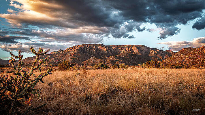 Whispers in the High Desert by Howard Holley
