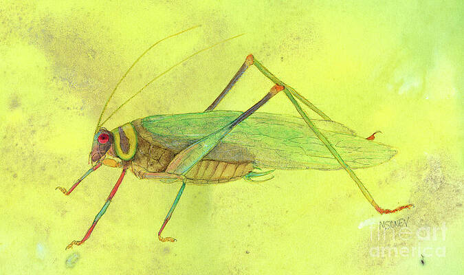 Wall Art featuring the painting Ecuador Amazon Katydid by Marie Stone-van Vuuren