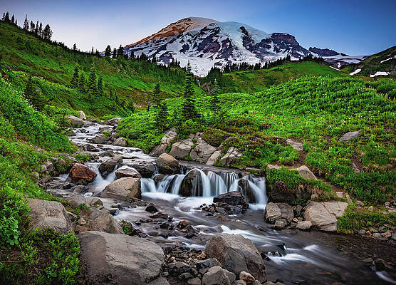 Edith Creek and Mount Rainier, Washington State by Abbie Warnock