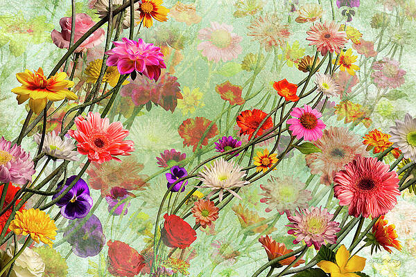 Vibrant Floral Symphony Wall Art