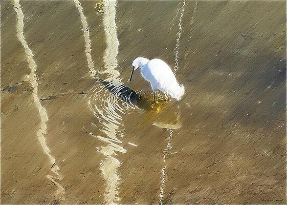 Egret Standing in Shallow Water Wall Art