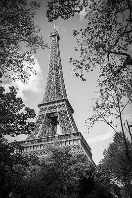Architecture Photograph - Eiffel Tower Framed By Trees BW by John Twynam