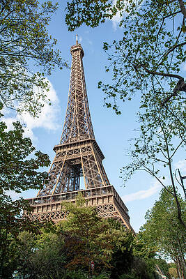 Majestic Photograph - Eiffel Tower Framed By Trees by John Twynam