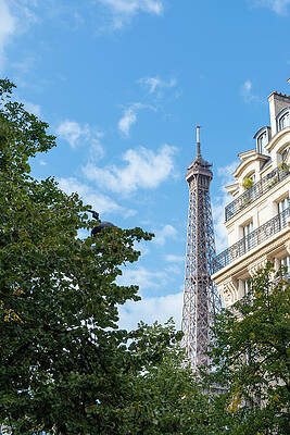 Majestic Photograph - Eiffel Tower From Behind Trees In Paris by John Twynam