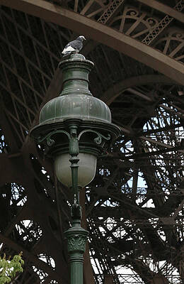 Paris Photograph - Eiffel Tower Lamp Post by Ron Berezuk
