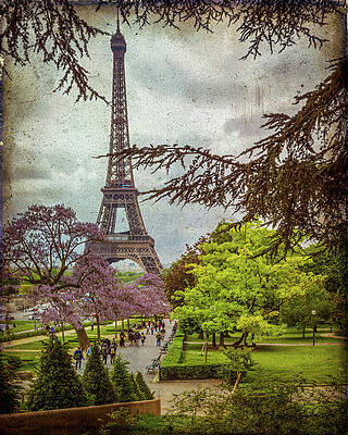 Summer Photograph - Vintage Eiffel Tower by Steven Dos Remedios