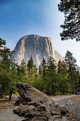 California Wall Art featuring the photograph El Capitan 3 by Cindy Robinson
