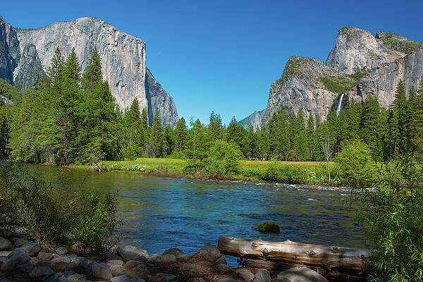 Water Photograph - El Capitan, Cathedral Rocks, Bridalveil Falls, Merced River View, Yosemite National Park, Yosemite by Bonnie Colgan