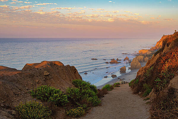Wall Art featuring the photograph El Matador Beach Path At Sunrise by Matthew DeGrushe