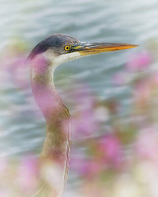 Elegant Heron Amid Blossoms Wall Art