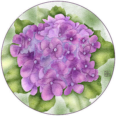 Delicate Digital Art - Elegant Pink Hydrangea Hand-Drawn Digital Watercolor Floral Wall Art by Snow Iris Studio