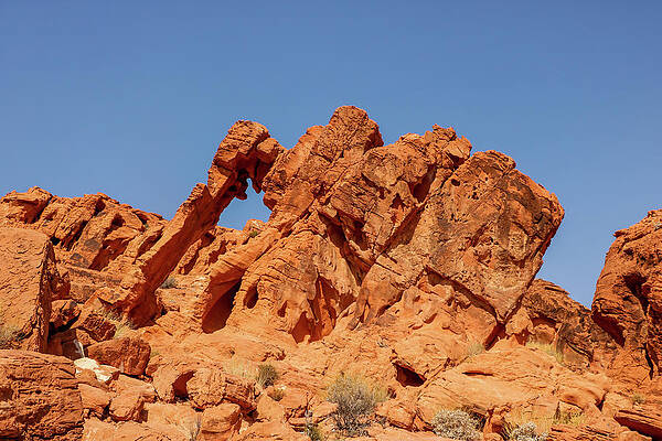 Desert Wall Art featuring the photograph Elephant Rock by Dawn Richards