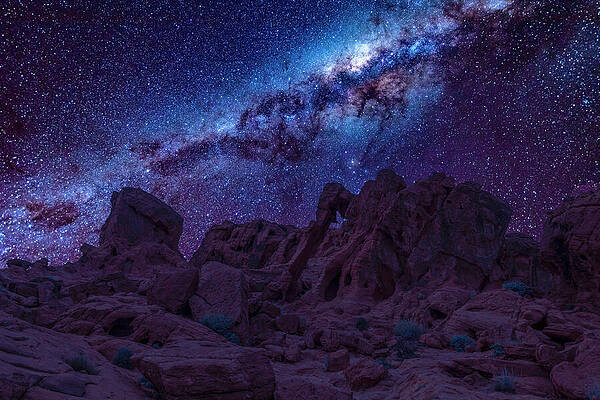 Wilderness Wall Art featuring the photograph Elephant Shaped Rocks In Valley Of Fire Nevada by John Twynam