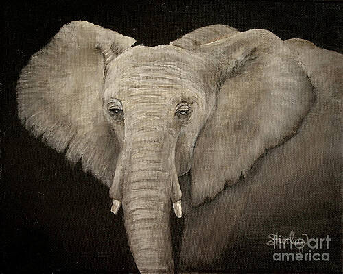 Painting - The Elephant by Shirley Dutchkowski