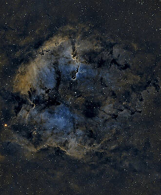 Nebula Photograph - Elephant Trunk Nebula In HOO Palette by Brian Weber