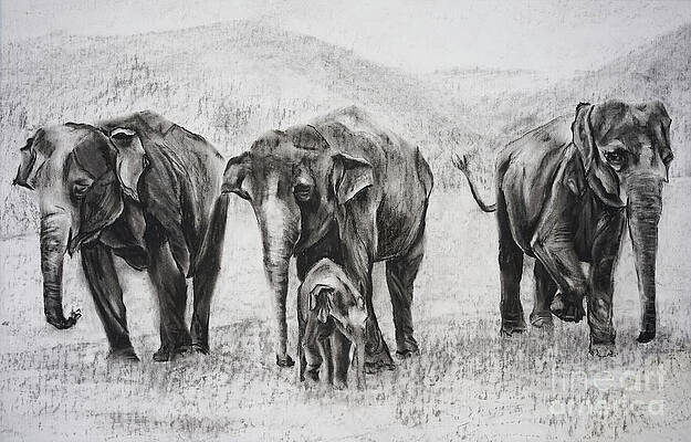 Wall Art featuring the pastel Elephants In A Row by Radha Rao