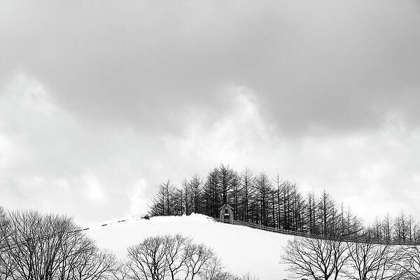 Snowy Hill and Trees Under Gray Sky Wall Art