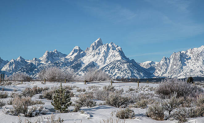 Wyoming Photograph - Elk Ranch Flats Winter Tetons by Douglas Wielfaert