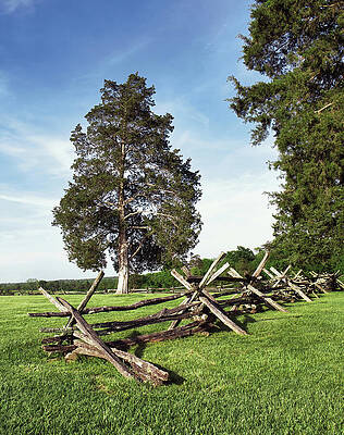 Rustic Fence and Lone Tree Wall Art