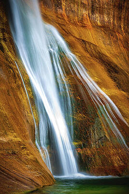 Unique Photograph - Emerald Cascades - Calf Creek Falls, Utah - Vertical by Abbie Warnock