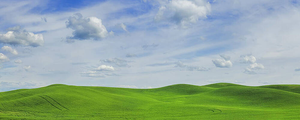 Verdant Rolling Hills Wall Art